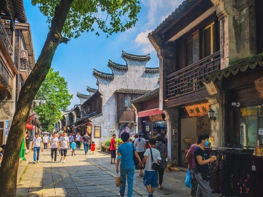 放飞笼中鸟